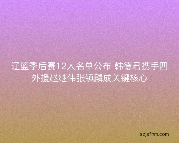 辽篮季后赛12人名单公布 韩德君携手四外援赵继伟张镇麟成关键核心