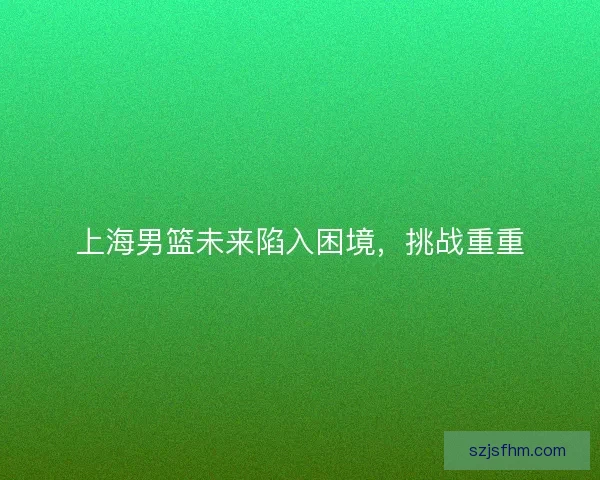 上海男篮未来陷入困境，挑战重重