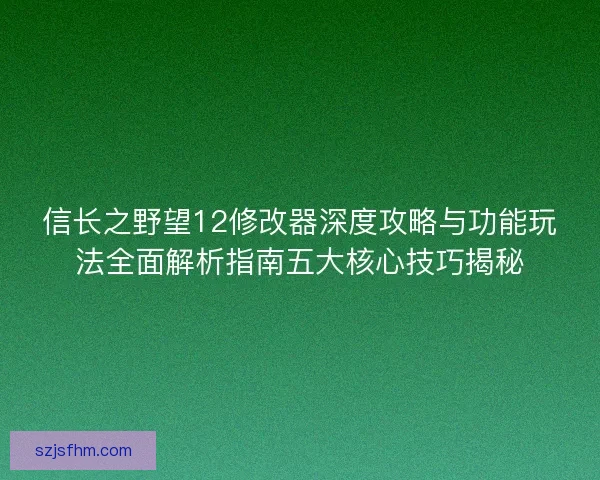 信长之野望12修改器深度攻略与功能玩法全面解析指南五大核心技巧揭秘